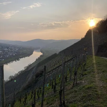 Zum Mandelgraben Appartement